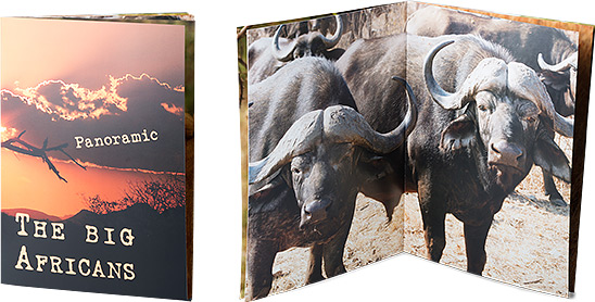 Abbildung Fotobuch Afrika